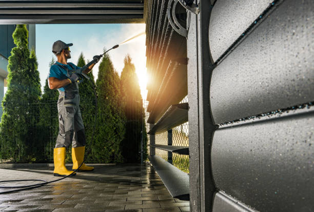 Animal Enclosure Cleaning in Battlefield, MO